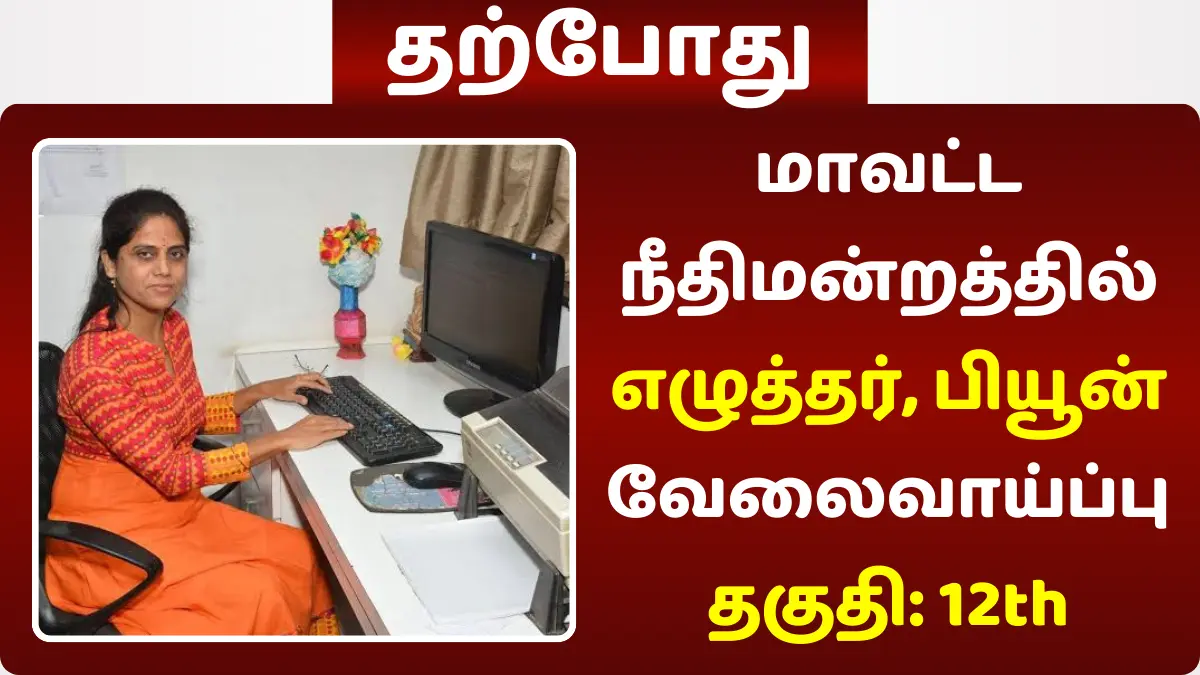 மாவட்ட நீதிமன்றத்தில் எழுத்தர், பியூன் வேலைவாய்ப்பு