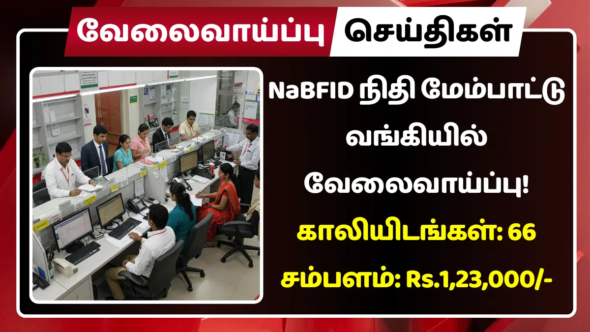 NaBFID Recruitment 2025