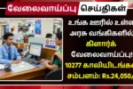 IBPS Clerk Recruitment 2025