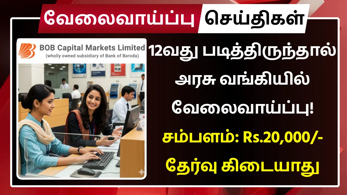 BOB Capital Markets Limited Recruitment 2025