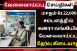 Canara Bank Securities Trainee Recruitment 2025